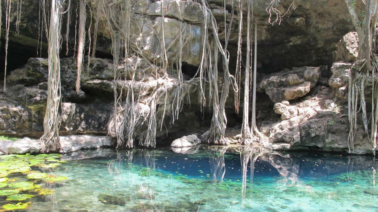 Casa Isabella Villa Merida Bagian luar foto